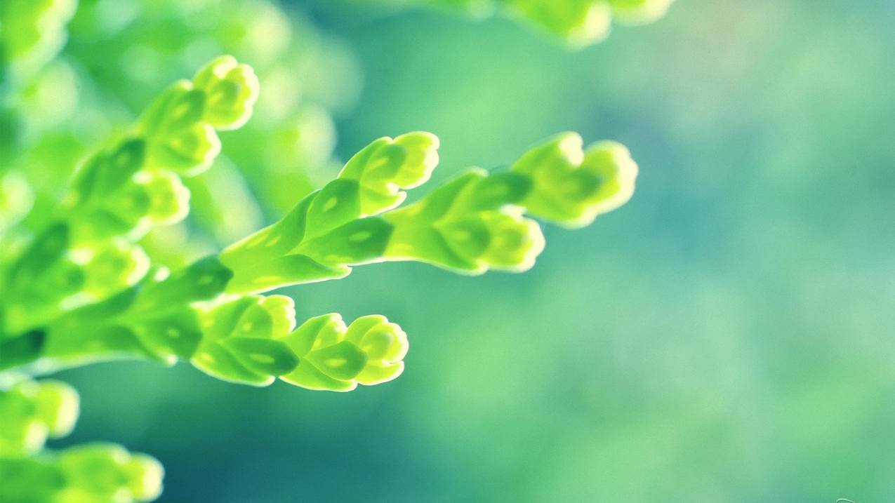 最右代刷网 - 85