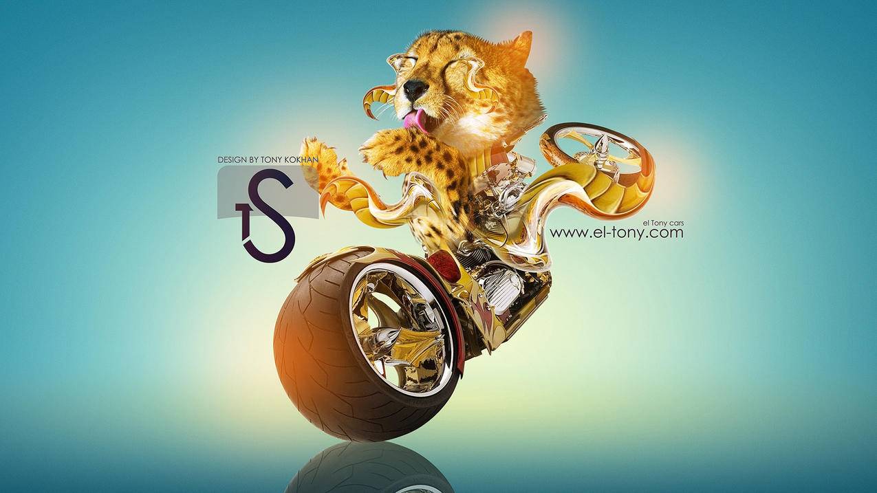 福代网刷_503卡盟官网_猫哥代刷抖音 - 秒刷抖音刷赞人气