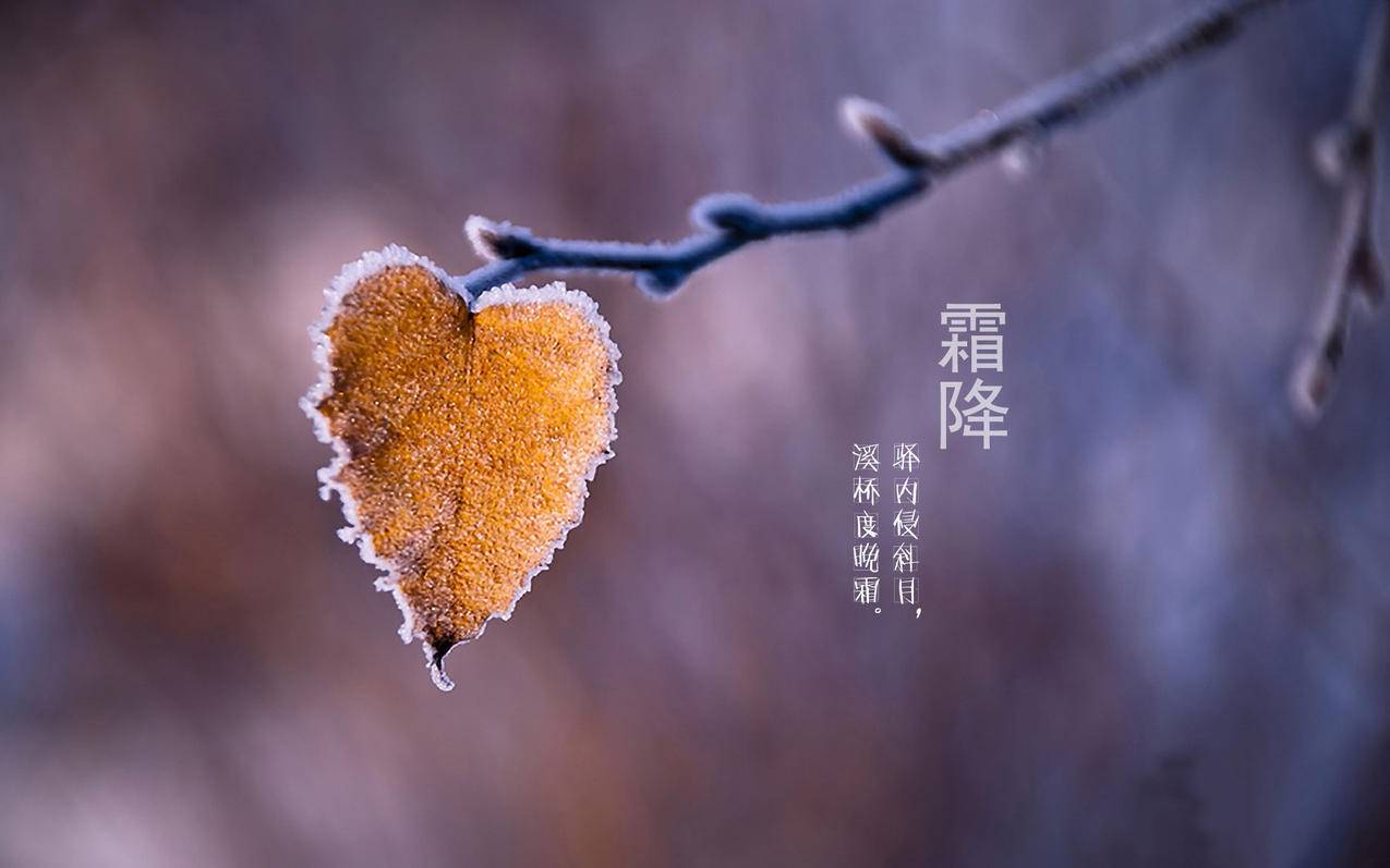 怎样能上热搜,在线够卖小红书粉丝点赞点赞,小红书粉丝点赞抖音刷赞浏览免费领取网址-刷快手作品赞的卡盟