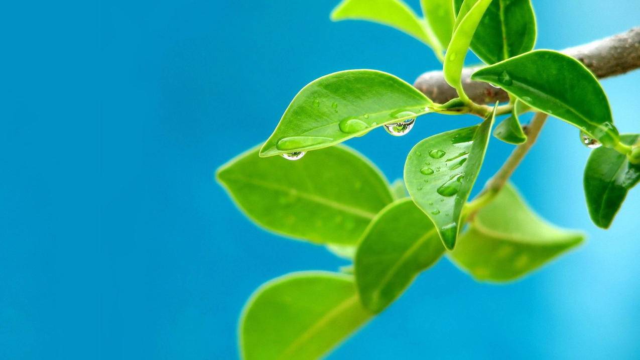 小红书粉丝点赞抖音刷