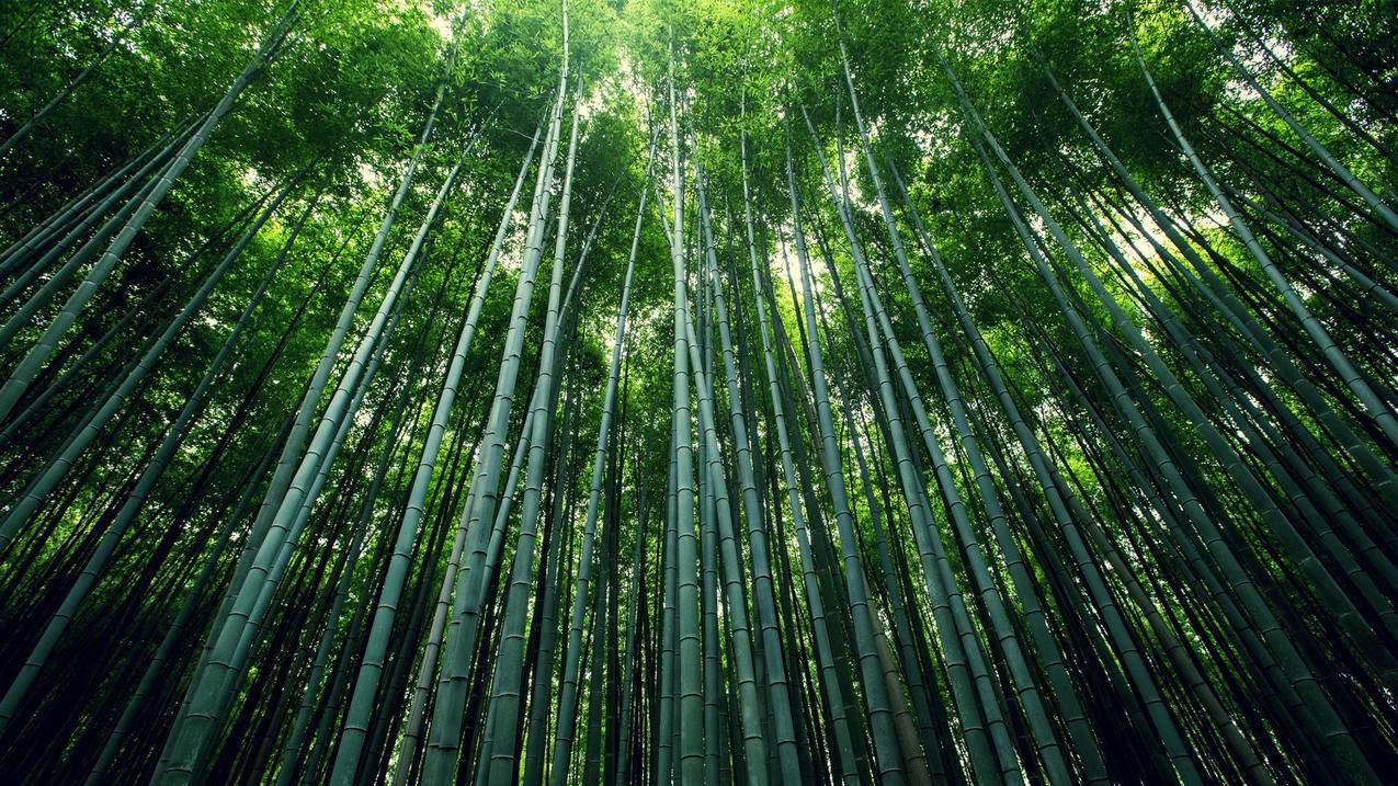 抖音快手刷赞全网最低价-磊磊代网刷平台,小红书粉丝点赞刷赞陌,卡盟王者荣耀业务网