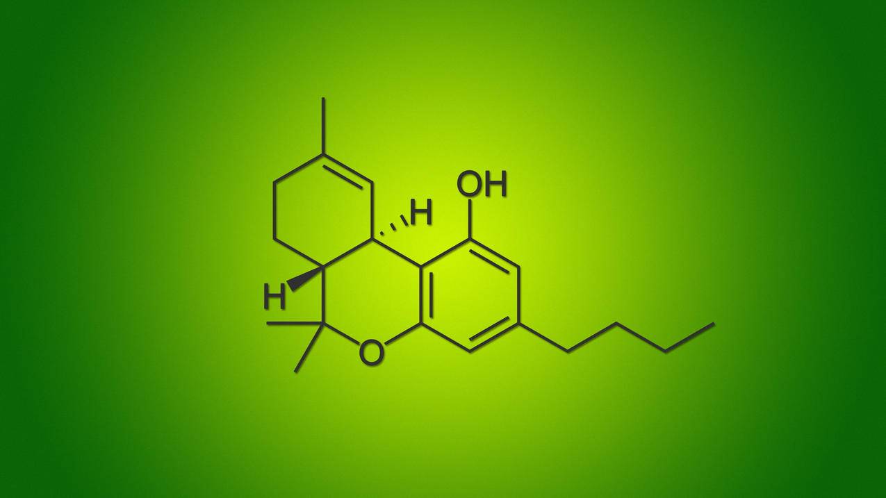 抖音24小时业务自助下单刷赞超便宜 - 点赞代刷网站,小红书粉丝点赞抖音刷赞免费说说刷赞网址,卡盟网代刷dy业务