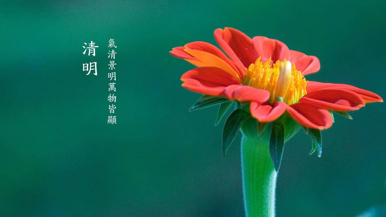 卡盟网站平台,绝地求