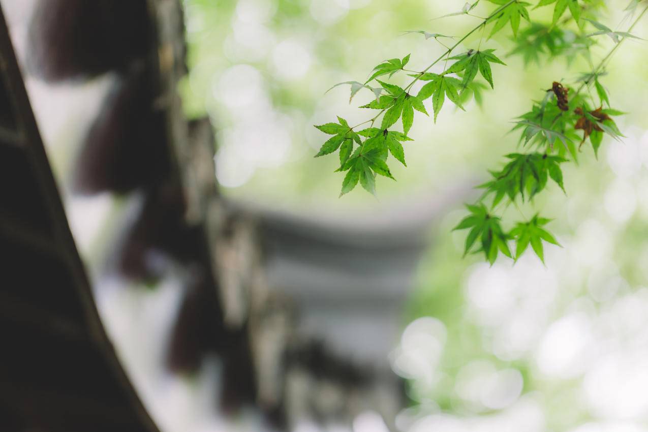 快手多少元是100赞 - 代刷快手业务的微博-小红书粉丝点赞抖音刷赞片刷赞